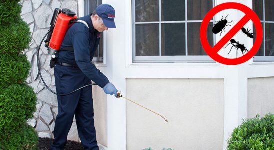 Evka 5 Akrep İlaçlama böcek ilaçlama ve haşere kontrolü — ilaclama-tr.com